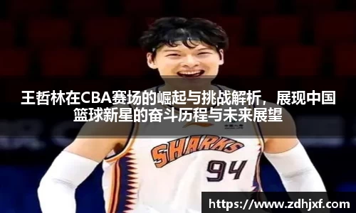 王哲林在CBA赛场的崛起与挑战解析，展现中国篮球新星的奋斗历程与未来展望